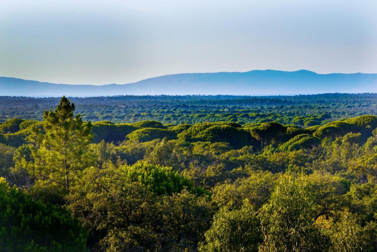 A Serenada Enoturismo Grandola Luaran gambar